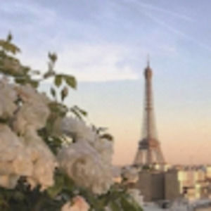 Meet your Posher, Anne